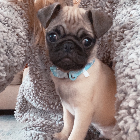 β’ meet the assistants β’ - Picture 14 of 15